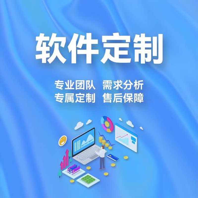 软件定制开发引领数字化转型新篇章